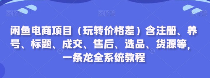 闲鱼电商项目（玩转价格差）含注册、养号、标题、成交、售后、选品、货源等，一条龙全系统教程